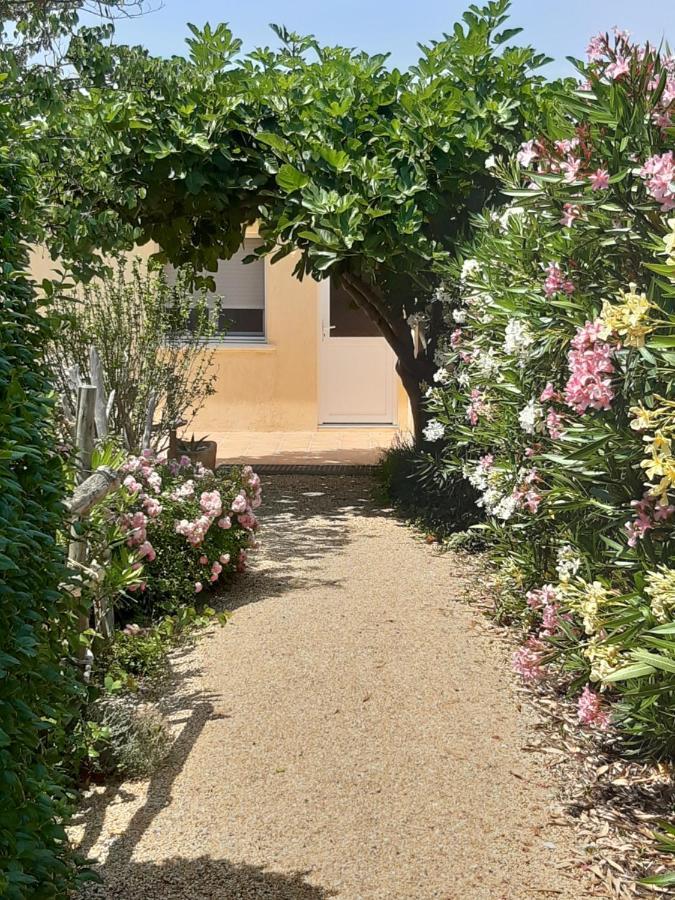 Petite Maison De Campagne Gardoise Théziers المظهر الخارجي الصورة
